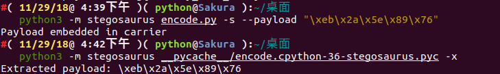 payload-shellcode